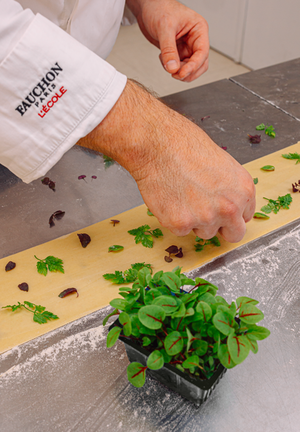 04/07 - FAUCHON autour du monde - Méditerrannée - Balade en Italie