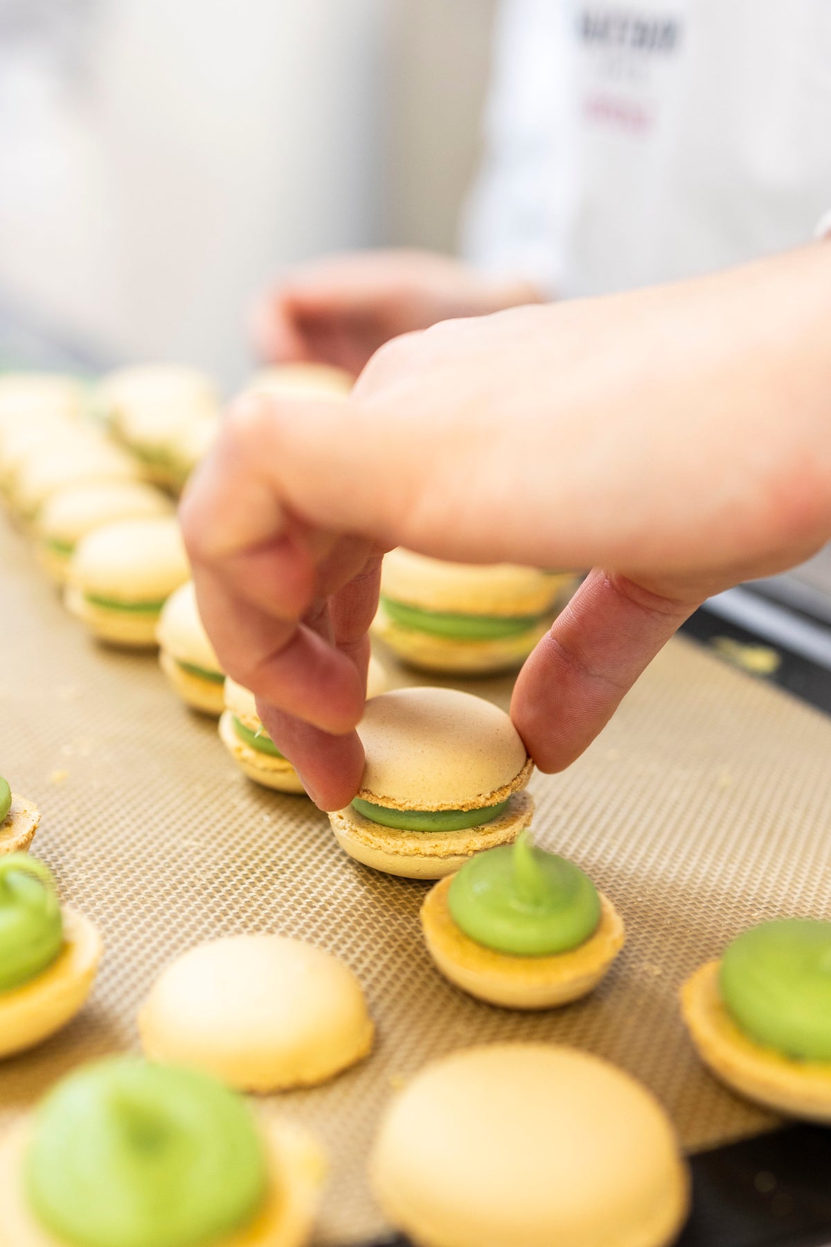 Les macarons - 27/02/2027
