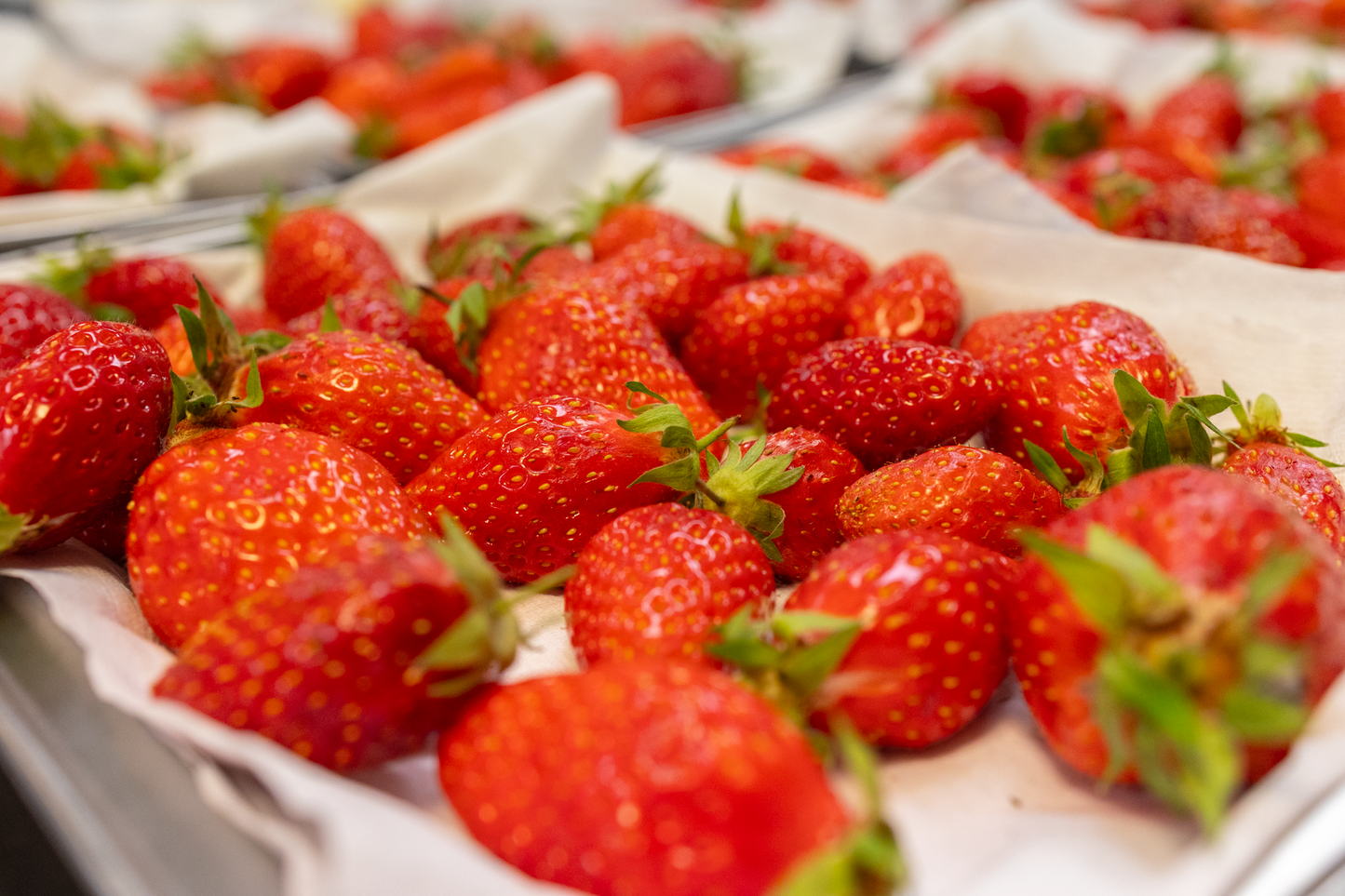 23/05 - Le fraisier moderne